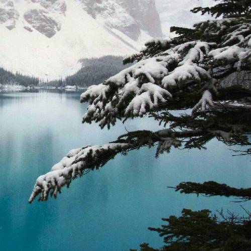 این دیوونه حس داشت اما شده شیطان این دیوونه ای کاش